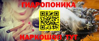 амф Сланцы