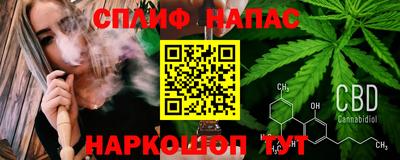 амф Сланцы
