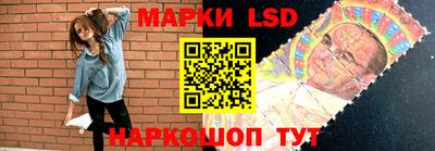 амф Сланцы