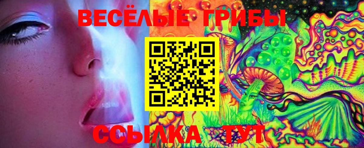 Галлюциногенные грибы Cubensis  Псилоцибиновые грибы Cubensis  купить наркотики цена  Павловский Посад  Вход с VPN 