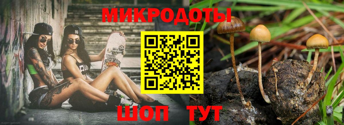 Псилоцибиновые грибы Psilocybine cubensis Павловский Посад